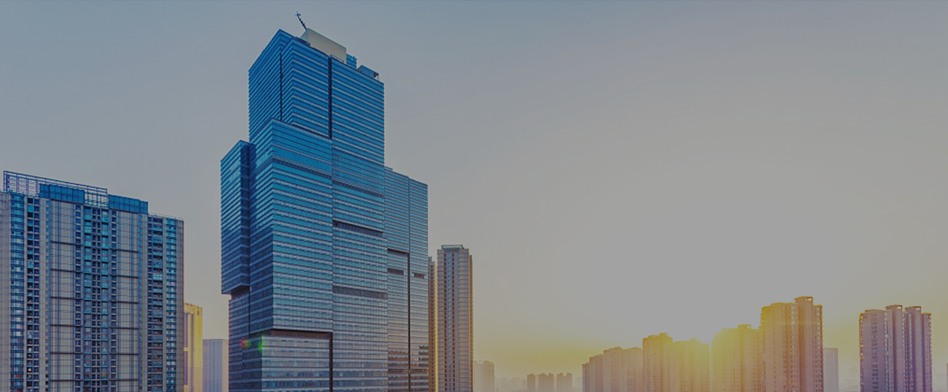 外教来了,学溪教育
